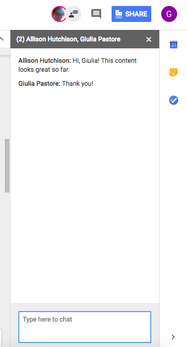 screen shot of chat window in Google Docs
